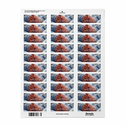 Niedliche Babynahrung (Vorne)