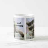 Niedliche Babyraccoon-Tasse, kann ich haz Kaffee Kaffeetasse (Mittel)