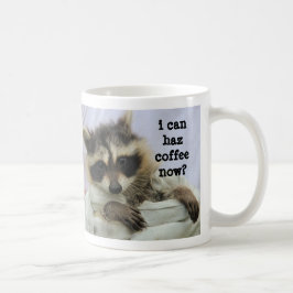 Niedliche Babyraccoon-Tasse, kann ich haz Kaffee Kaffeetasse