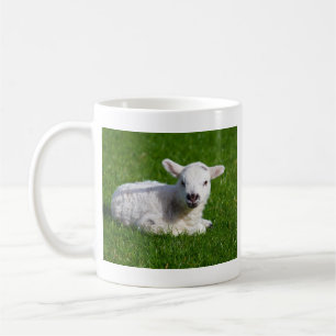 Niedliche Babyschafe, die im Gras liegen Kaffeetasse