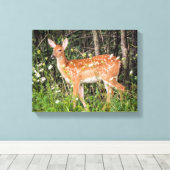 Niedliche Babytiere Fawn Deer Canvas drucken Leinwanddruck (Insitu (Holzboden))