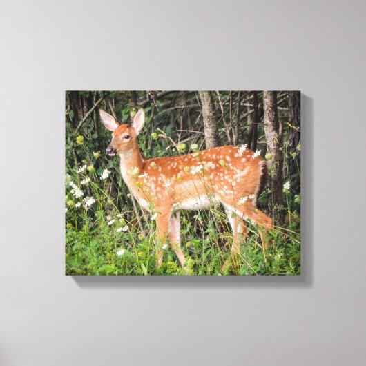 Niedliche Babytiere Fawn Deer Canvas drucken Leinwanddruck (Vorderseite)