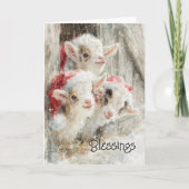 Niedliche Babyziegen - Schneekinder 9 Weihnachten (Vorderseite)