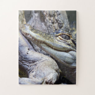 Niedliche Backencreme Puzzle