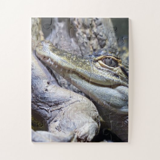 Niedliche Backencreme Puzzle (Vertikal)