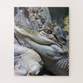 Niedliche Backencreme Puzzle (Vertikal)