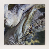 Niedliche Backencreme Puzzle (Horizontal)