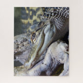 Niedliche Backencreme Puzzle (Vertikal)