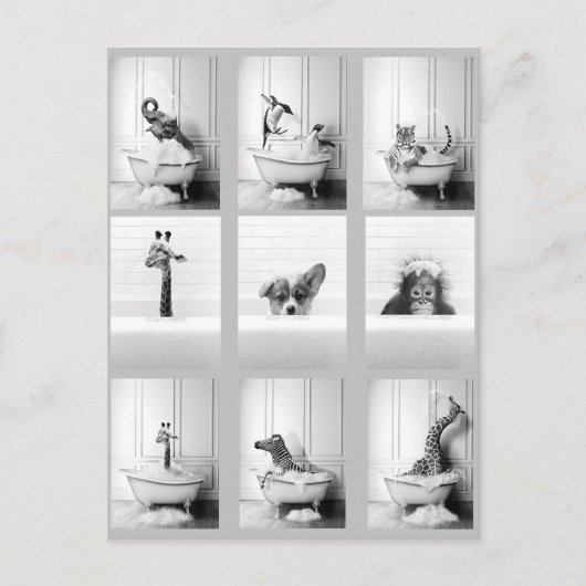 Niedliche Bademäntel in der Badewanne Postkarte (Vorderseite)