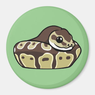 Niedliche Ball-Pythonschlange-Haustier-Schlange, Magnet