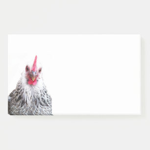 Niedliche Bantam Cochin Hen Foto 10x6 Hinweise Post-it Klebezettel