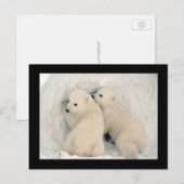 Niedliche Bärenjungen Postkarte (Vorne/Hinten)