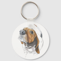 Niedliche Basset Hound Liebhaber Nah Up