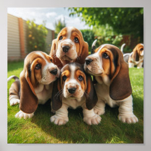 niedliche Basset Hound Welpen Poster