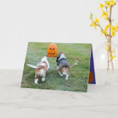 Niedliche Basset-Hunde auf der sonnigen Halloween- Karte (Gelbe Blume)