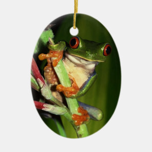 Niedliche Baum-Froschverzierung Keramik Ornament