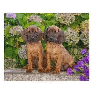 Niedliche bayerische Berghütten Welpen mit Blume Puzzle