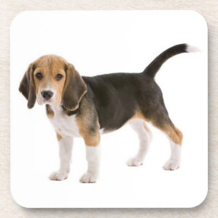 Niedliche Beagle Mama Hund Lover Welpe Vater Adopt Getränkeuntersetzer