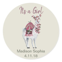 Niedliche, beige-elegante Lama-Babydusche