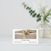 Niedliche Beige Katzen Schlafen auf Beige Bett Visitenkarte (Stehend Vorderseite)