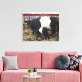 Niedliche Beltie Kuh und Kalb - Belassene Galloway Leinwanddruck (Insitu (Wohnzimmer))