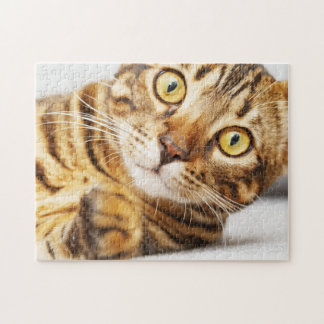 Niedliche Bengalische Katze Puzzle