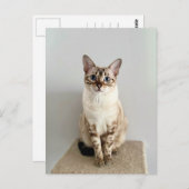 Niedliche Bengalische Postkarte (Vorne/Hinten)