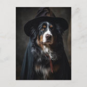 Niedliche Berner Hundelhexe Postkarte (Vorderseite)