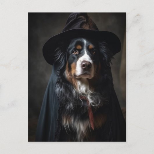 Niedliche Berner Hundelhexe Postkarte (Vorderseite)