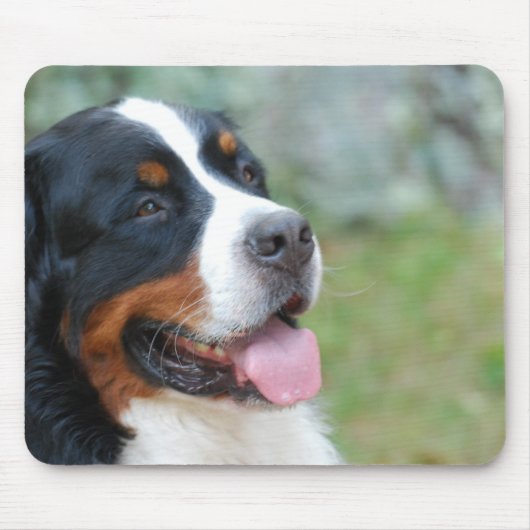 Niedliche Bernese Mausunterlage Mousepad (Vorne)