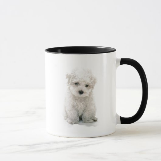 Niedliche Bichon Frise Kaffee-Tasse Tasse (Rechts)
