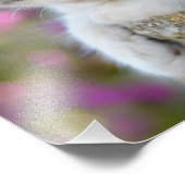 Niedliche Bicolor Cat Kitten Pink Blume - Paperpri Fotodruck (Ecke)
