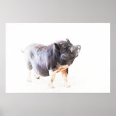 Niedliche Big Pig Farm Art Poster (Vorne)