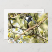 Niedliche Bird DIY Postkarte (Vorne/Hinten)