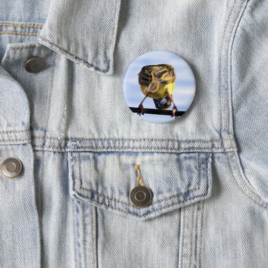 Niedliche Birdie-Knöpfe Button (Beispiel)