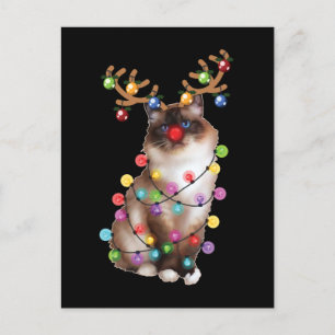 Niedliche Birman Cat Weihnachtsgeschenke Postkarte