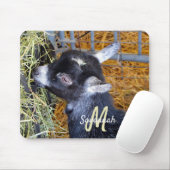 Niedliche Black Baby Goat Eating Hay Foto Monogram Mousepad (Mit Mouse)