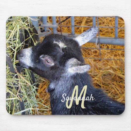 Niedliche Black Baby Goat Eating Hay Foto Monogram Mousepad (Vorne)