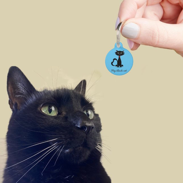 Niedliche Black Cat Kittname Anschrift Blue Pet ID Haustiermarke (A cute blue pet id tag with space for your address details
)