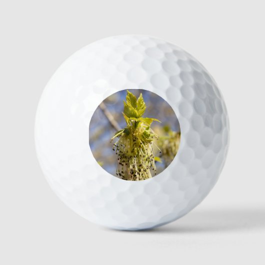 Niedliche Blätter im Frühling Foto Golfball (Vorderseite)