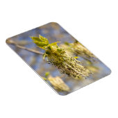 Niedliche Blätter im Frühling Foto Magnet (Rechte Seite)