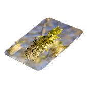 Niedliche Blätter im Frühling Foto Magnet (Linke Seite)