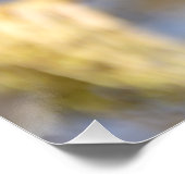 Niedliche Blätter im Frühling Foto Poster (Ecke)