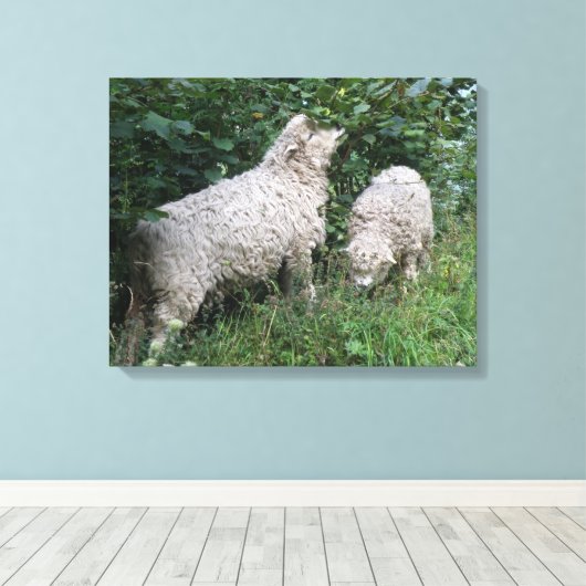 Niedliche Blätter zum Schafessen Leinwand drucksvo (Insitu (Holzboden))