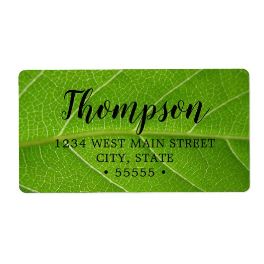 Niedliche Blätterblätter-Grüntöne Nah (Vorne)