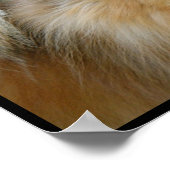 Niedliche Blondine Poster (Ecke)