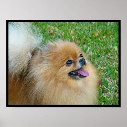 Niedliche Blondine Poster (Vorne)