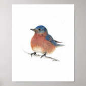 Niedliche Bluebird-Farbe Kunst drucken Poster (Vorne)