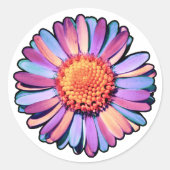 Niedliche Blume Lila Pink Blue Boho Daisy Bisexual Runder Aufkleber (Vorderseite)
