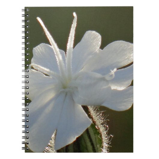 Niedliche Blume Notizblock (Vorderseite)